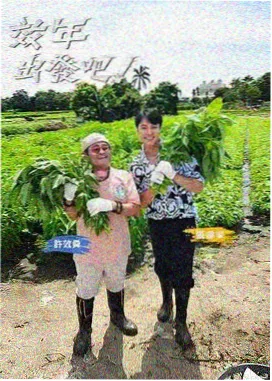 周末不打烊 榜单缩略图